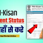 PM Kisan Balance Check