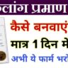 Viklang Certificate Kaise Banwaye Online