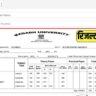 Magadh University Part 2 Result 2020 23 Download Link