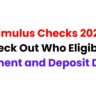 Stimulus Checks 2024: Check Out Who Eligibile, Payment and Deposit Dates