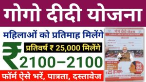 Gogo Didi Yojana Online Apply/Form Download : महिलाओं को हर महीने मिलगे ₹2100 रुपये, गोगो दीदी योजना के लिए आवेदन शुरू जल्द  