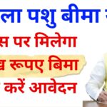 Mangla Pashu Bima Yojana: पशुपालकों के लिए सरकार लाई नई योजना 