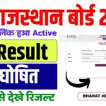 RBSE 5th Result 2025 Marksheet